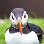 shutterstock 1619365690