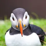 shutterstock 1619365690