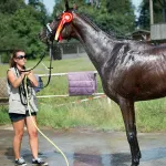 shutterstock 211846951