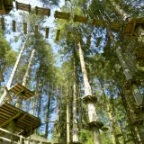 Shutterstock 1193082793