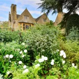 shutterstock 219011899