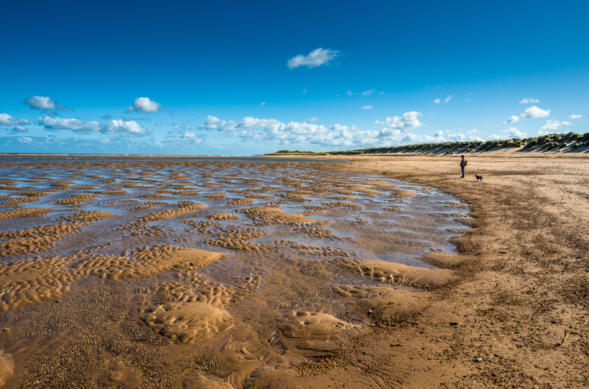 Norfolk Coast