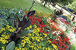 boscawen-park.jpg