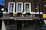 walrus