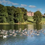 shutterstock 512751187