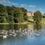 shutterstock 512751187