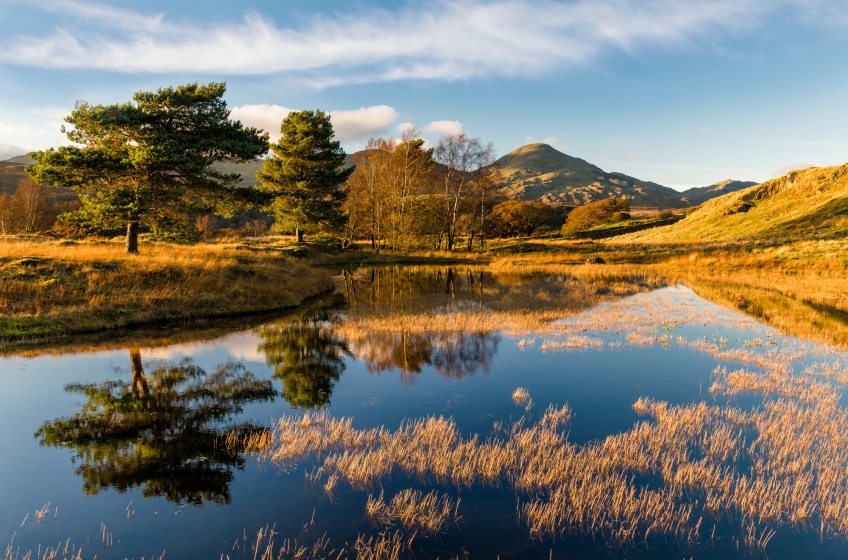 Kelly Hall Tarn