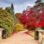 shutterstock 512811040