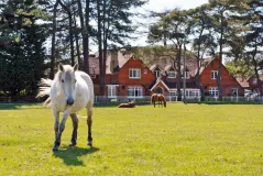 The Beaulieu Hotel