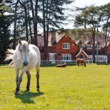The Beaulieu Hotel