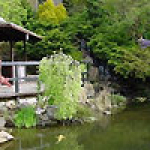 the-japanese-garden.jpg