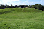 20002645.jpg