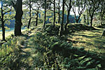 blackbury-camp.jpg