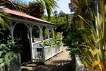 abbotsbury-gardens.jpg