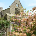 azaleasbyahcroppedforwebsite