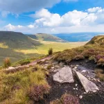 Shutterstock 329434049