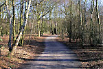 20011782.jpg