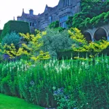 shutterstock 1100804213