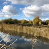 Shutterstock 1561304704