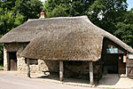 branscombe.jpg