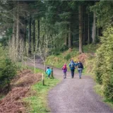 shutterstock 644743750