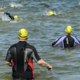 shutterstock 272447375