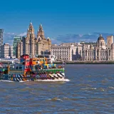 Shutterstock 1555316582