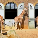 Shutterstock 79353634