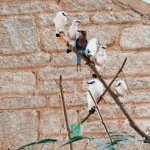 Screenshot2021 03 24at17