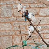 Screenshot2021 03 24at17