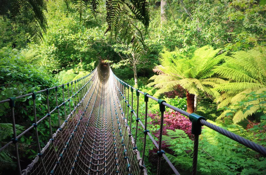 Surfing at Fistral Beach