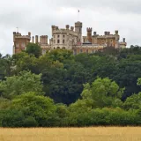 shutterstock 1192292383