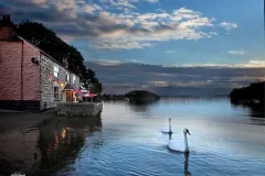 The Wilcove Inn