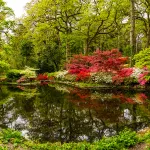 Shutterstock 1670851705