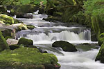 golitha-falls.jpg
