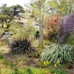 shutterstock 1375307711