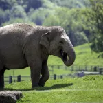 Shutterstock 1995941555