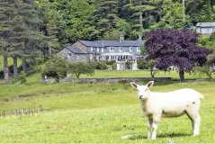Ravenstone Lodge, Bassenthwaite