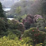 trebah-garden.jpg