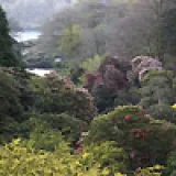 trebah-garden.jpg