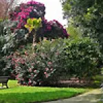 fox-rosehill-gardens.jpg