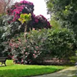 fox-rosehill-gardens.jpg