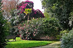 fox-rosehill-gardens.jpg