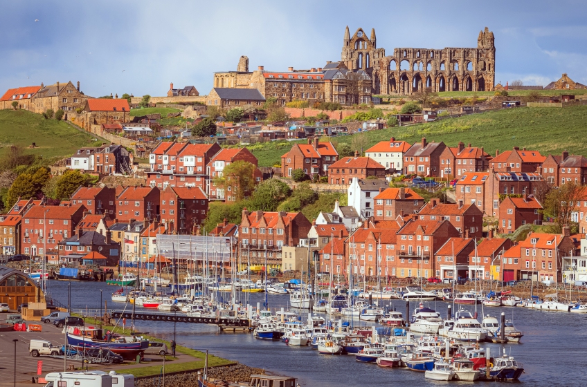 Whitby Rooftops