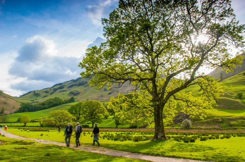 Borrowdale, Cumbria