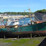 Shutterstock 2356969223