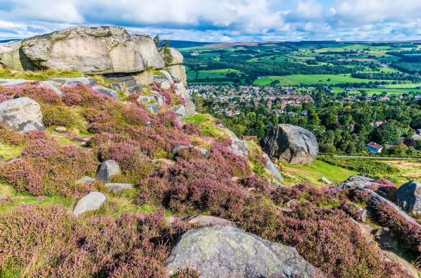 Ilkley Moor