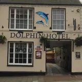 dolphin