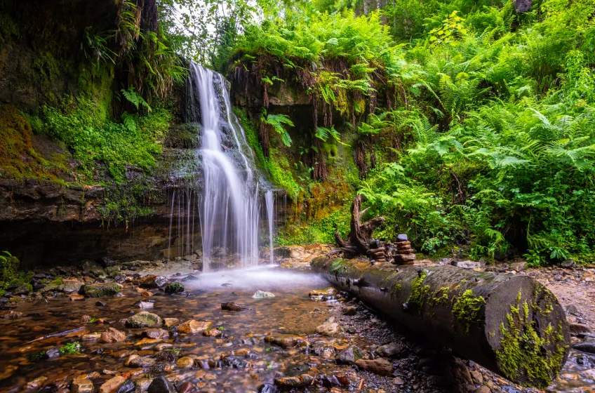 Maspie Den, Lomond Hills Regional Park