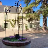 401161641